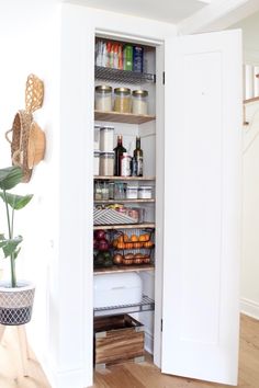 an open pantry door with spices and condiments on the bottom shelf, next to a potted plant