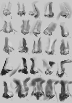 an image of different types of nose shapes