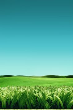 a green field with grass and blue sky in the backgrounnd, illustration painting