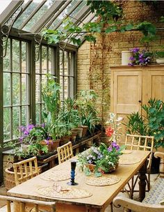 a dining room table with chairs and potted plants in front of the windows, surrounded by greenery