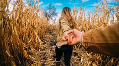 a person holding the hand of another persons hand in a corn field with blue sky and clouds