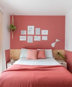 Peach & White Colour for Bedroom Walls Coral Room Decor, Coral Room, Pink Accent Walls, Bold Bedroom, Living Room Wall Color, Bedroom Color Combination