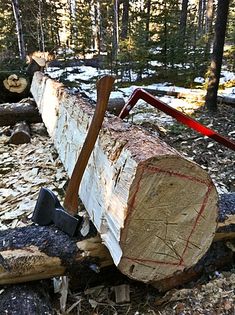 a large piece of wood sitting on top of a forest floor