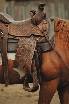 a saddled horse is standing in the dirt