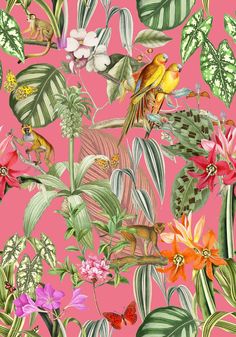 a pink wallpaper with tropical plants and birds on it's back drop down