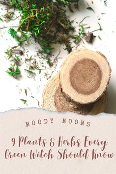 Plants Image by Moody Moons Herbal Witch, Plant Magic, Green Witch, Planting Herbs, Psychic, Witch, Herbs, Trees, Healing