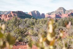 the mountains are covered with trees and bushes in front of some red rock formations on a sunny day