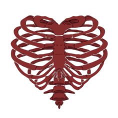 the rib cage is shaped like a heart and has two ribs attached to each side