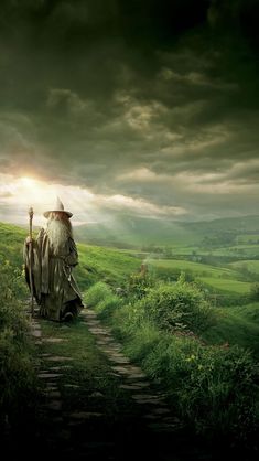 an old man walking down a path in the middle of a lush green field under a cloudy sky