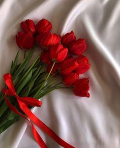 red tulips tied together on a white sheet