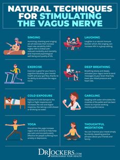 Improve Vagal Tone, Dorsal Vagal Exercises, Dorsal Vagal Shutdown, Vagal Nerve, Vagal Tone, Nerf Vague, Gut Inflammation, The Vagus Nerve