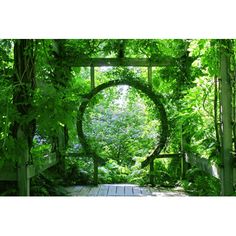 an open gate with green plants surrounding it