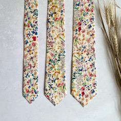 three ties with different designs on them next to some dried grass and a plant in the background