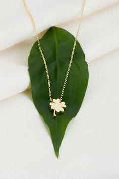 10k 14k 18k Solid Gold Four Leaf Clover Necklace, Tiny 4 Leaf Clover Charm Necklace, St Patricks Day Gift for Her, Clover Leaf JewelryOur gold necklaces make the most perfect gift for so many occasions, weddings, birthdays or as the perfect staple in your own jewelry collection. It’s a meaningful gift for your children, girlfriend, wife, families, loved one or a special treat just for yourself.  FEATURES• Solid Gold (real gold, not gold plated or gold filled material)• Gold Karat: 10K (417) - 14 Elegant 14k Gold Necklaces For Good Luck, Elegant 14k Gold Necklace For Good Luck, Rose Gold 14k Gold Charm Necklaces, Rose Gold 14k Gold Necklaces With Charms, 14k Yellow Gold Necklace For Her, Rose Gold 14k Gold Charms Necklace, 14k Gold Tarnish-resistant Charm Necklace For Her, 14k Gold Tarnish-resistant Charm Necklace Gift For Her, 14k Gold Clavicle Chain Jewelry Gift