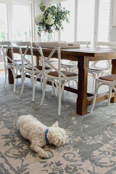 a white dog laying on the floor in front of a dining room table with chairs