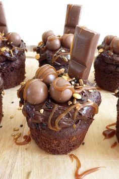 some chocolate cupcakes with candy on top