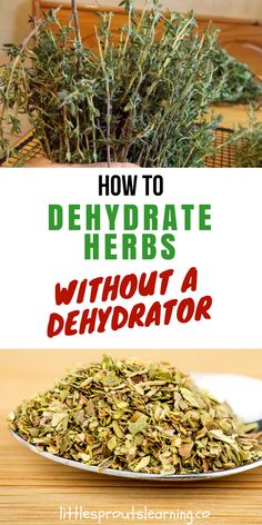 how to dehydrate herbs without a dehydrator