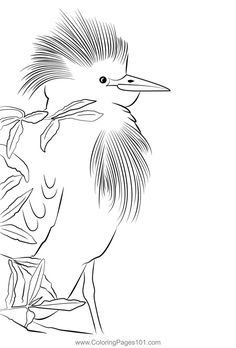 a black and white drawing of a bird sitting on a branch with its beak open