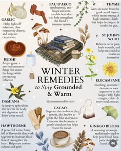 Winter Remedies, Herbal Remedies Recipes, Medicinal Herbs Garden, Magic Herbs, Herbal Recipes, Herbal Apothecary, Natural Healing Remedies, Herbal Healing