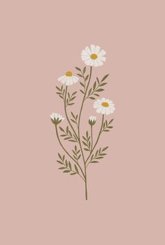 three daisies on a pink background with the words,'i love you '