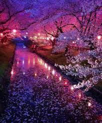 the trees are blooming with purple lights on them and reflecting in the water at night