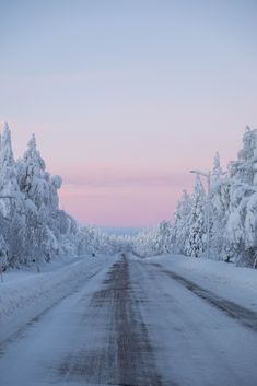 the road is covered in snow and has lots of trees on both sides with no cars