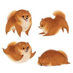 four different images of an animal with brown fur and two smaller ones are shown in three different positions