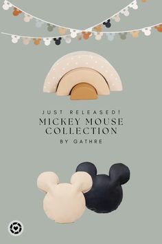 the mickey mouse collection is on display