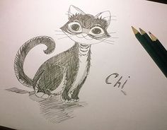 a pencil drawing of a cat sitting on top of a piece of paper with the word chi written below it