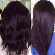 Eggplant Hair, Pelo Color Borgoña, Kort Bob, Hair Color Plum, Winter Hair Colors, Rambut Brunette