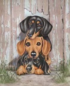 Dachshund Digital Art, Tatoo Dog, Dog Memorial Tattoos, Pet Artist, Vintage Dachshund, Dapple Dachshund