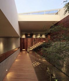 the walkway is lined with lit candles and trees in front of an indoor area that looks like a modern building