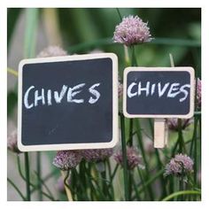 two black and white signs with the words chives written on them in front of some purple flowers