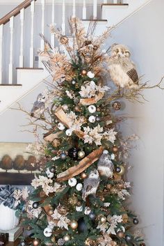 a decorated christmas tree with an owl on top