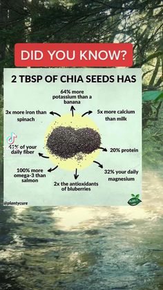 Chia Seeds Health Benefits, Chia Seed Health Benefits, بذور الشيا, Seeds Benefits, Liver Diet, Food Health Benefits, Magnesium Benefits, Home Health Remedies, Herbs For Health