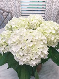 a vase filled with white flowers sitting on top of a table next to a chair