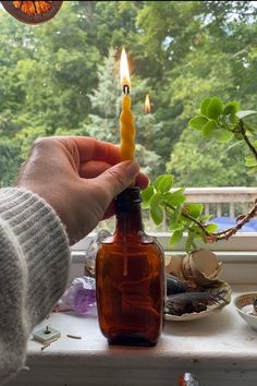 a person holding a candle in front of a window sill next to a potted plant