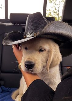 a dog wearing a cowboy hat sitting in the back seat of a car with it's owner