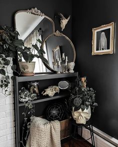 a black and white living room with plants on the shelf next to a large mirror