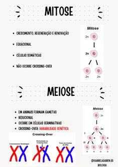 an info sheet with different types of words and numbers on it, including the names of each