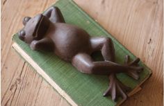 a brown frog figurine laying on top of a green book with wood flooring