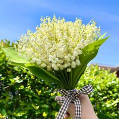 a hand holding a bouquet of white flowers in front of green bushes and blue sky