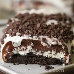 a piece of cake on a plate with chocolate chips and white frosting in the middle