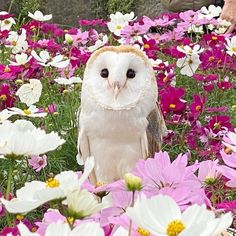 an owl is sitting in the middle of flowers