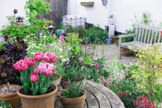 a garden filled with lots of flowers next to a wooden bench