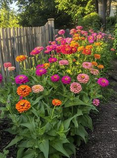 many different colored flowers in a garden next to a fence