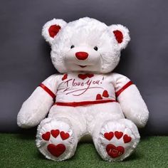 a white teddy bear with red hearts on it