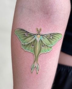 a small green moth tattoo on the left thigh and right leg, it appears to be an insect