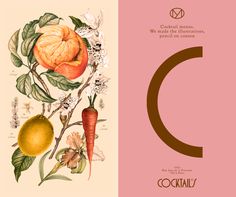 the letter c is made up of fruits and vegetables