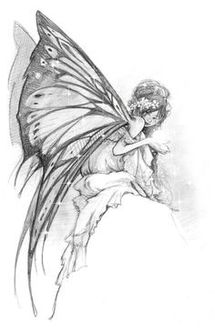 a drawing of a fairy sitting on top of a butterfly